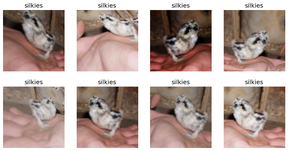 Example of images after applying data augmentation