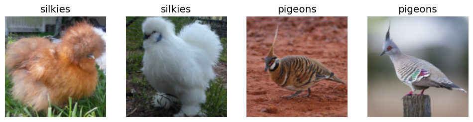 An example of the data received: 2 silkies and 2 pigeons